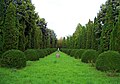 The Iaşi Botanical Garden
