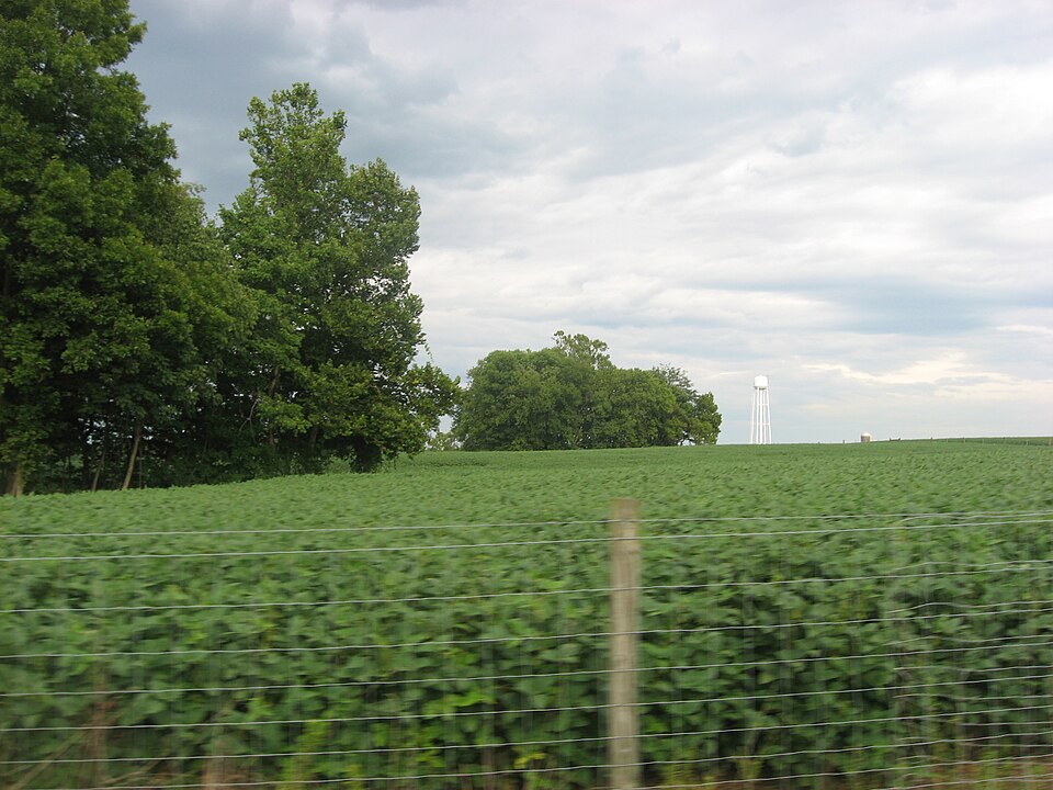 File:Henry Martin Farm.jpg