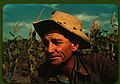 Jim Norris, homesteader