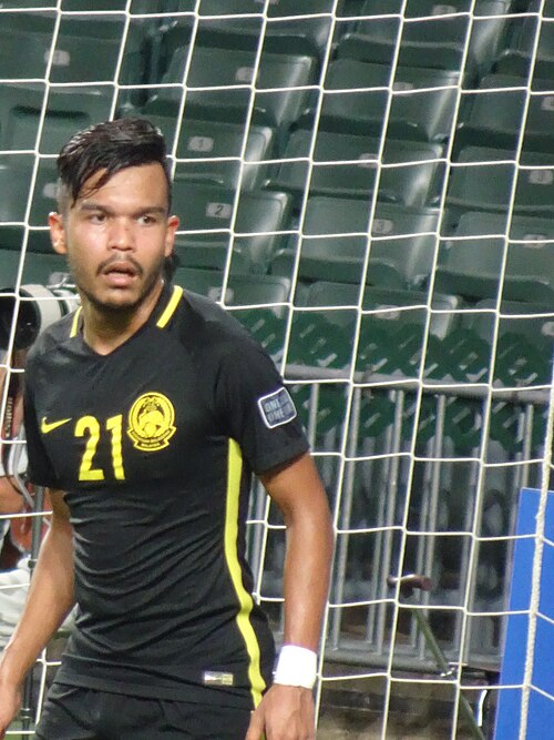 File:Nazirul Naim Che Hashim.jpg
