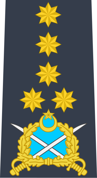 File:Pak-air-force-OF-10.svg