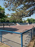 Basketball court