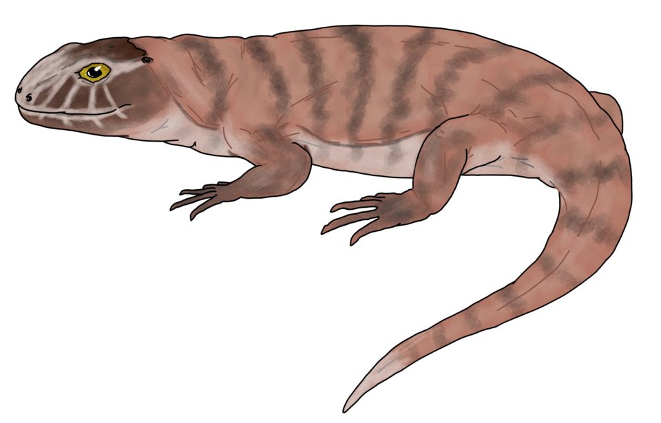 File:Eldeceeon life restoration.png