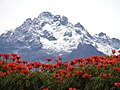 Thumbnail for version as of 01:26, 30 April 2014
