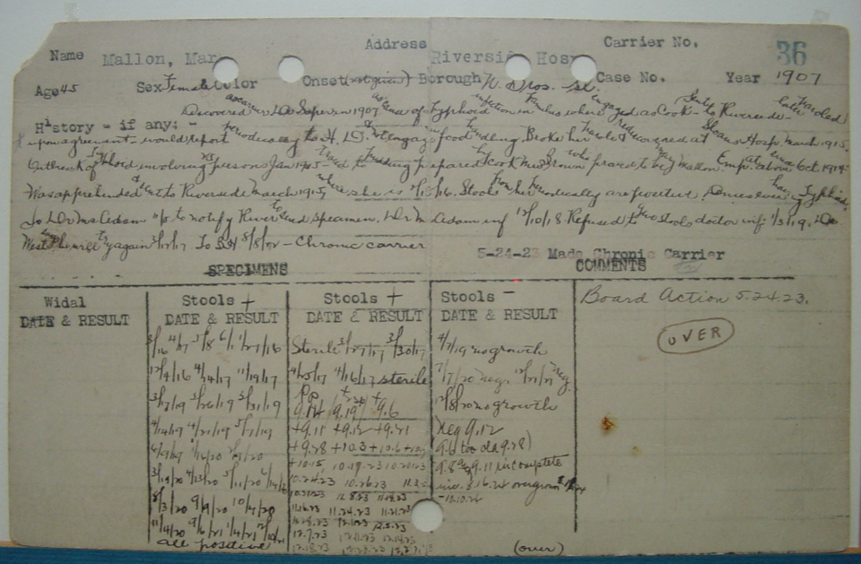 File:MaryMallon.stoolreport.1907.png