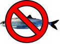 Thumbnail for version as of 13:27, 31 August 2007