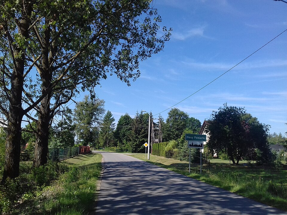 File:Nosy-Poniatki (gm. Mszczonów, pow. Żyrardów).jpg