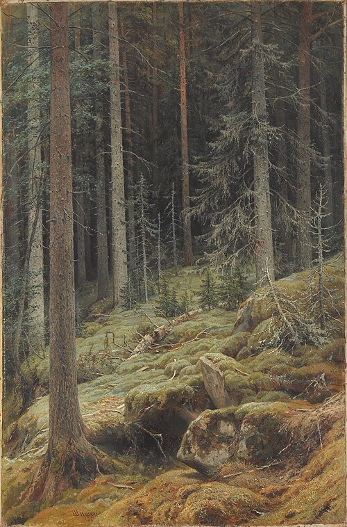 File:Дебри (Шишкин).jpg