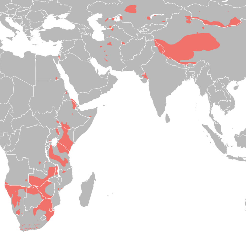 File:Equidae distribution.png