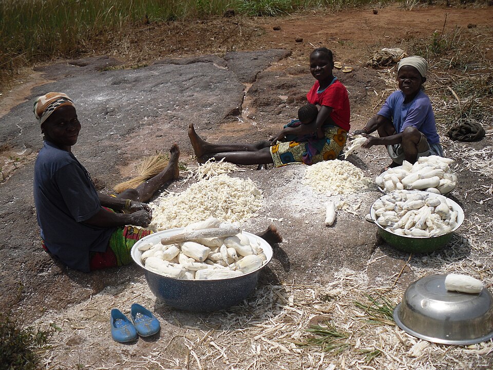 File:Manioc transformation.JPG