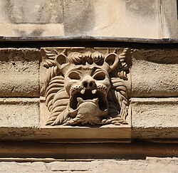 Lion muzzle serving as a gargoyle