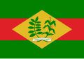 Flag of Euclides da Cunha