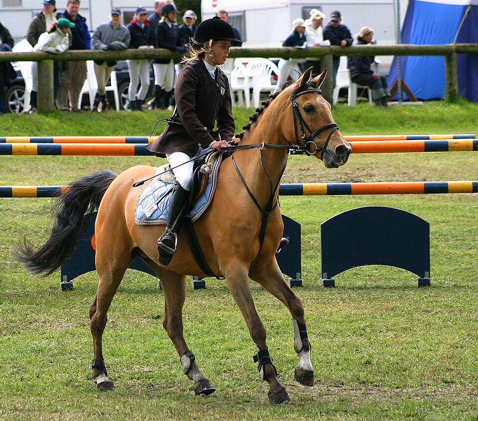File:Baltic Cup Shannon Mejnert Sandy2.jpg