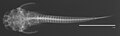 Thumbnail for version as of 14:12, 5 April 2022