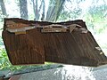 Scale site model
