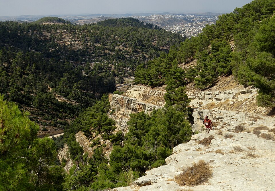 File:At Wadi al-Quf IMG 9339.jpg