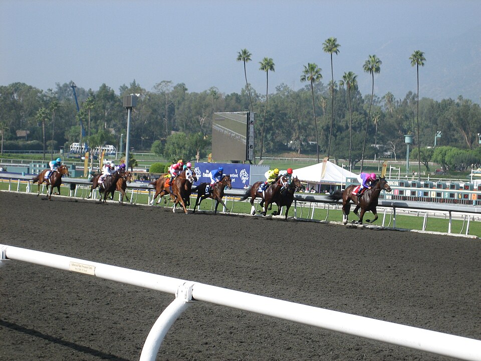 File:Breeders Cup 2009 002 (4108584368).jpg