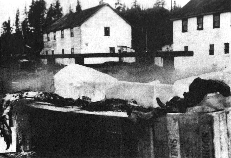 File:Cadborosaurus October 1937.jpg