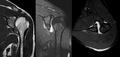 Thumbnail for version as of 17:48, 27 July 2010