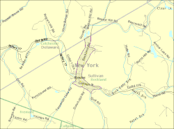 U.S. Census Map