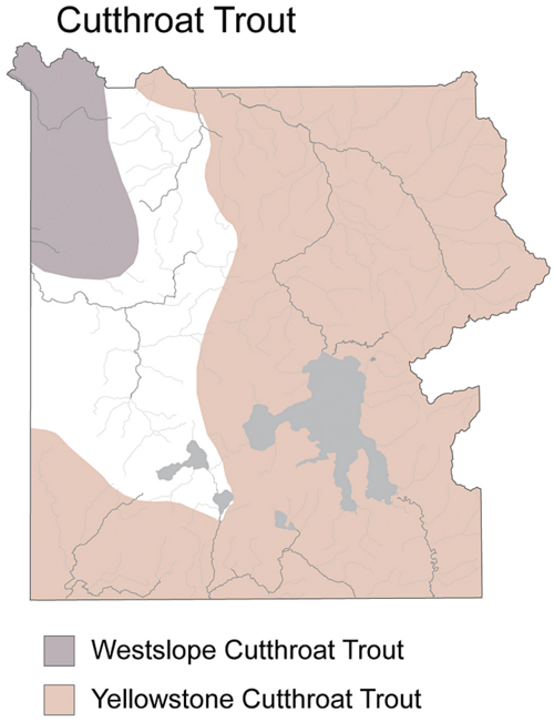File:CutthroatTroutDistributionMapYNP.png