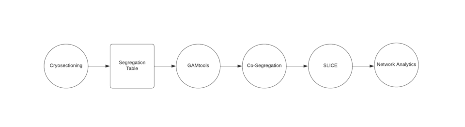 File:GAM flowchart(1).png