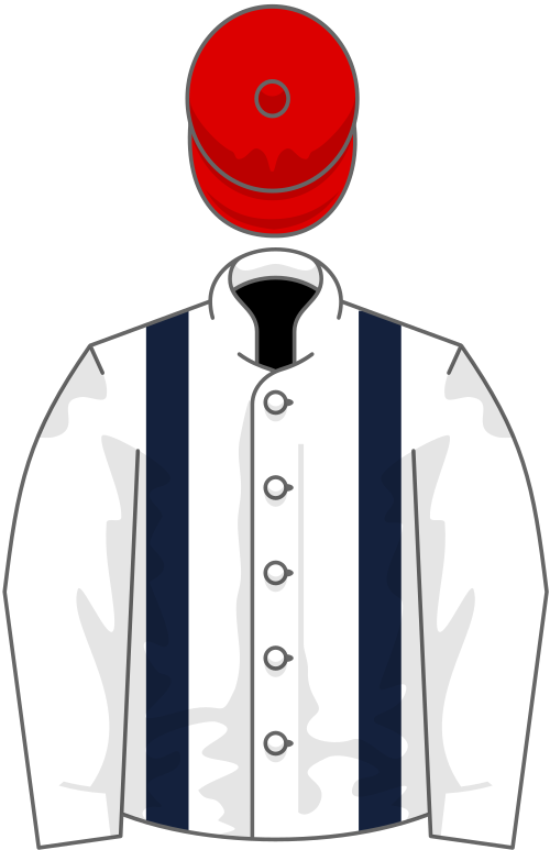 File:Owner RP Racing.svg