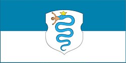 Flag of Pruzhany district