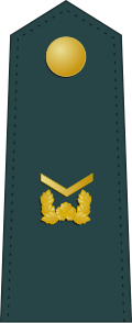 File:SouthKorea-Army-OR-5.svg