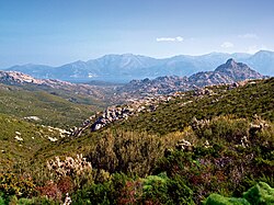 A view of the Agriates Desert from Bocca di Vezzu.