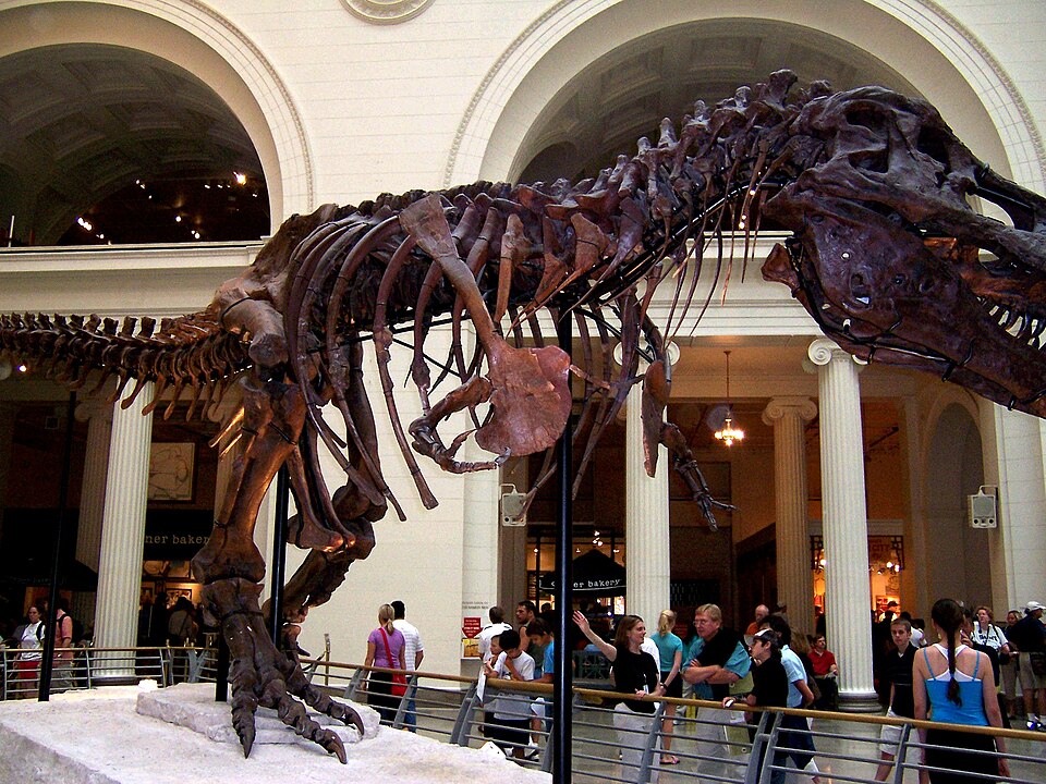 File:TRex3.jpg