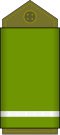 Adjudant(Land Forces of the DR Congo)
