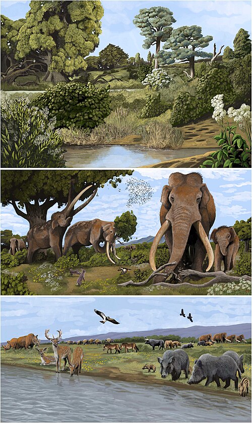 File:European Last Interglacial landscapes.jpg