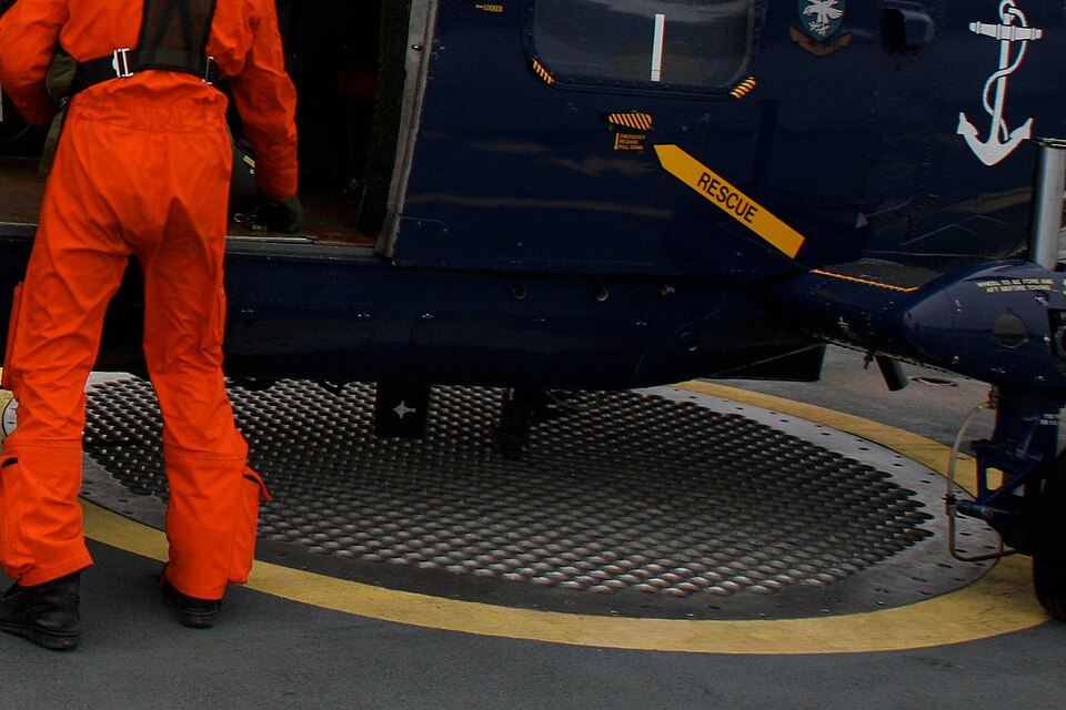 File:Lynx 02.jpg