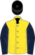 Yellow, dark blue sleeves, black cap