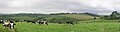 Thumbnail for version as of 03:53, 22 February 2008