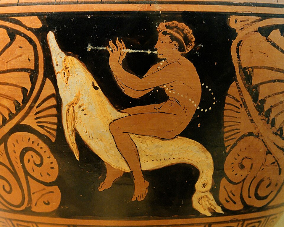 File:Flute-player dolphin Alcesti Group MAN.jpg