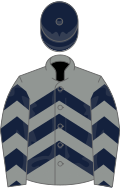 Grey, dark blue chevrons, dark blue cap