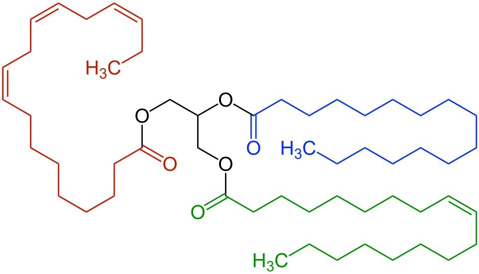 File:Unsaturated Triglyceride Structural Formula V1.svg