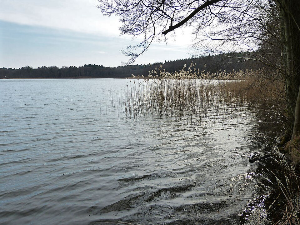 File:2014-03-21-Großer Prebelowsee 242.jpg