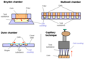 Thumbnail for version as of 14:50, 28 December 2012
