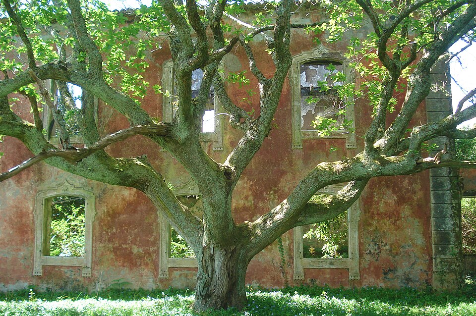 File:FAI HOR Conceicao palacetePilar courtyard.JPG