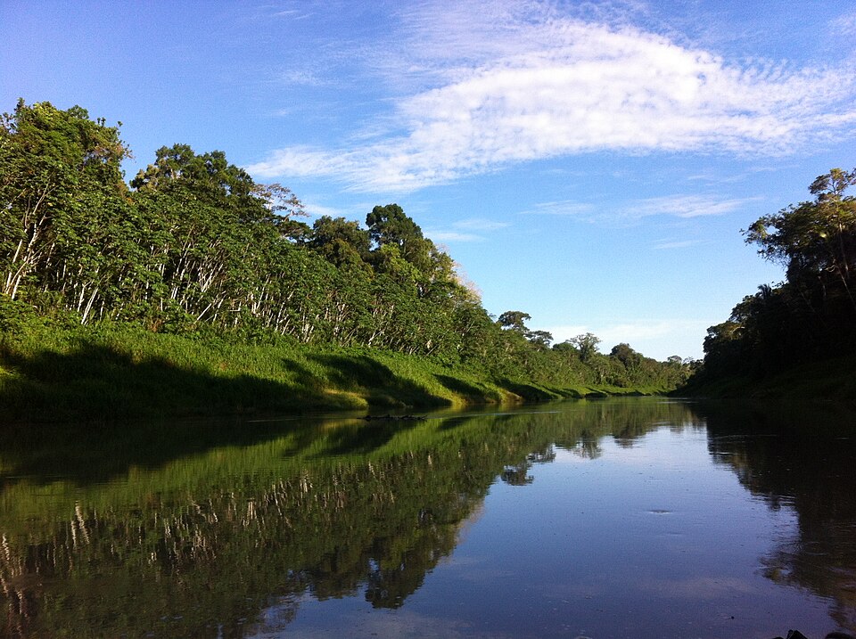 File:Rio Chandless.jpg