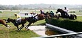 Golden Steeplechase