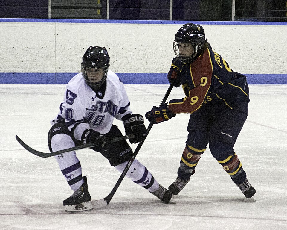 File:Western Mustangs women's hockey.jpg