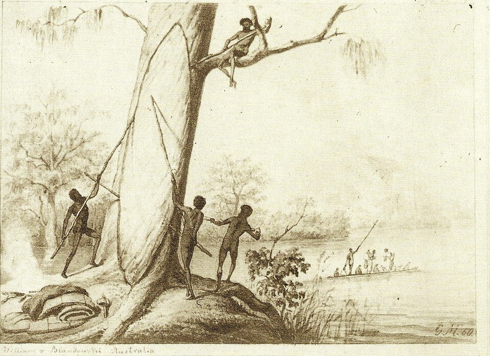 File:Canoe making.jpg