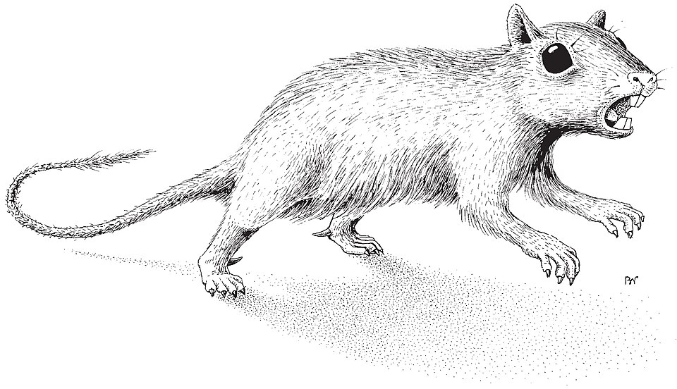 File:Catopsbaatar.jpg