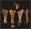 Thumbnail for version as of 03:40, 11 February 2015