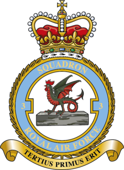 Squadron badge