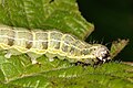 Thumbnail for version as of 15:55, 12 June 2010